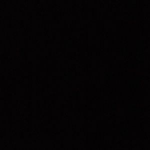 Meet your Posher, Angelo